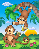 Monkeys Prints by Klara Viskova