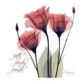 Gentian Faith Family Friends Prints by Albert Koetsier