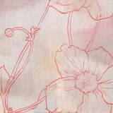 Anemone I Posters af Stephanie Han Anemone I Posters af Stephanie Han