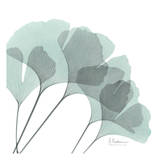 Ginkgo in Pale Blue II Pósters por Albert Koetsier