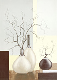 Medley in Brown II Poster by David Sedalia