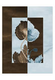 Poppies on Blue and Brown Squares Prints by Albert Koetsier