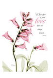 Pink Spring Foxglove, Love Affiche par Albert Koetsier