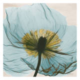 Dream in Pale Blue Art by Albert Koetsier