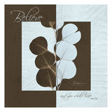 Eucalyptus on Squares Believe Prints by Albert Koetsier