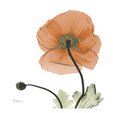 A Gift of Flowers in Orange Prints by Albert Koetsier