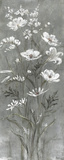 Celadon Bouquet III Posters par Carson 