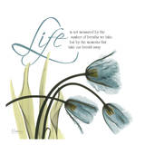Swaying Tulips Blue, Life Poster von Albert Koetsier