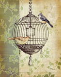 Botanical Birdcage I Posters by Paul Brent
