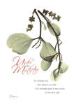 Christmas Mistletoe Print by Albert Koetsier