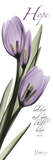Tulips in Purple, Hope Plakater af Albert Koetsier