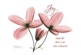 Clematis, Joy Affiches par Albert Koetsier