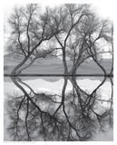 Clarity in the Waters Posters