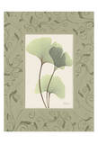 Ginkgo With Green Damask Frame Print by Albert Koetsier