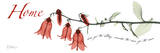 Carol's Campanula Posters by Albert Koetsier
