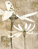 Pencil Floral II Art by Avery Tillmon
