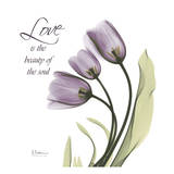 Swaying Tulips Purple, Love Posters by Albert Koetsier