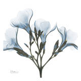 May Flowers Prints by Albert Koetsier