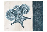 Starfish Sand Dollar Blue Posters by Albert Koetsier
