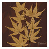Leaves Galore on Brown Print by Albert Koetsier