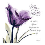 My Love, Purple Tulip Poster by Albert Koetsier