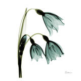 Three Tulips in Green Kunstdrucke von Albert Koetsier