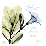 Madelia Home Posters by Albert Koetsier