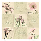 Spring Squares I Posters van Albert Koetsier