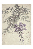 Wisteria Poster by Carol Kemery