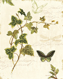 Ivies and Ferns IV Affiches par Lisa Audit