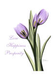Purple Tulips Love Happiness Posters by Albert Koetsier