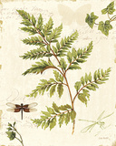 Ivies and Ferns I Poster by Lisa Audit