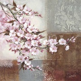 Cherry Bloom II Prints by Danielle Nengerman