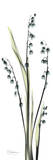 Lily of The Valley in Blue Prints by Albert Koetsier