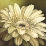 Daisy Portrait Posters by Lisa Audit