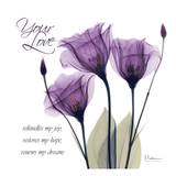 Your Love, Purple Tulip Poster von Albert Koetsier