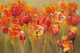 Tulips in the Midst III Posters par Marilyn Hageman