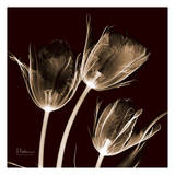 Tulips Trio on Brick Arte por Albert Koetsier Tulips Trio on Brick Arte por Albert Koetsier