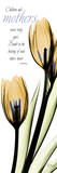 Mother, Tulip in Yellow Posters by Albert Koetsier