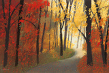 Autumn Road Prints by Lynn Krause