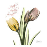 Tulips Faith Family Friends Print by Albert Koetsier