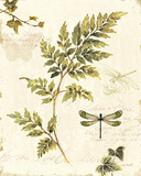 Ivies and Ferns III Affiche par Lisa Audit