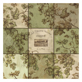 Old Stonehouse Vineyards Print by Carol Kemery