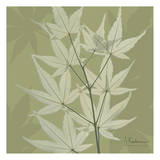Leaves Galore on Green Prints by Albert Koetsier