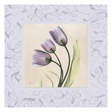 Purple Tulips on Purple Damask Posters by Albert Koetsier
