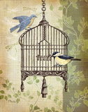 Botanical Birdcage II Prints by Paul Brent