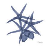 Sea Life in Blue Prints by Albert Koetsier