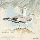Mouettes Cap Couronne Prints by Pascal Cessou