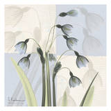 Sasha's Snowdrop Pósters por Albert Koetsier