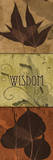 Leaves, Wisdom Reprodukcje autor Albert Koetsier